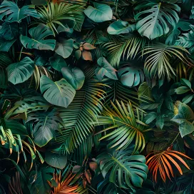 Jungle 502